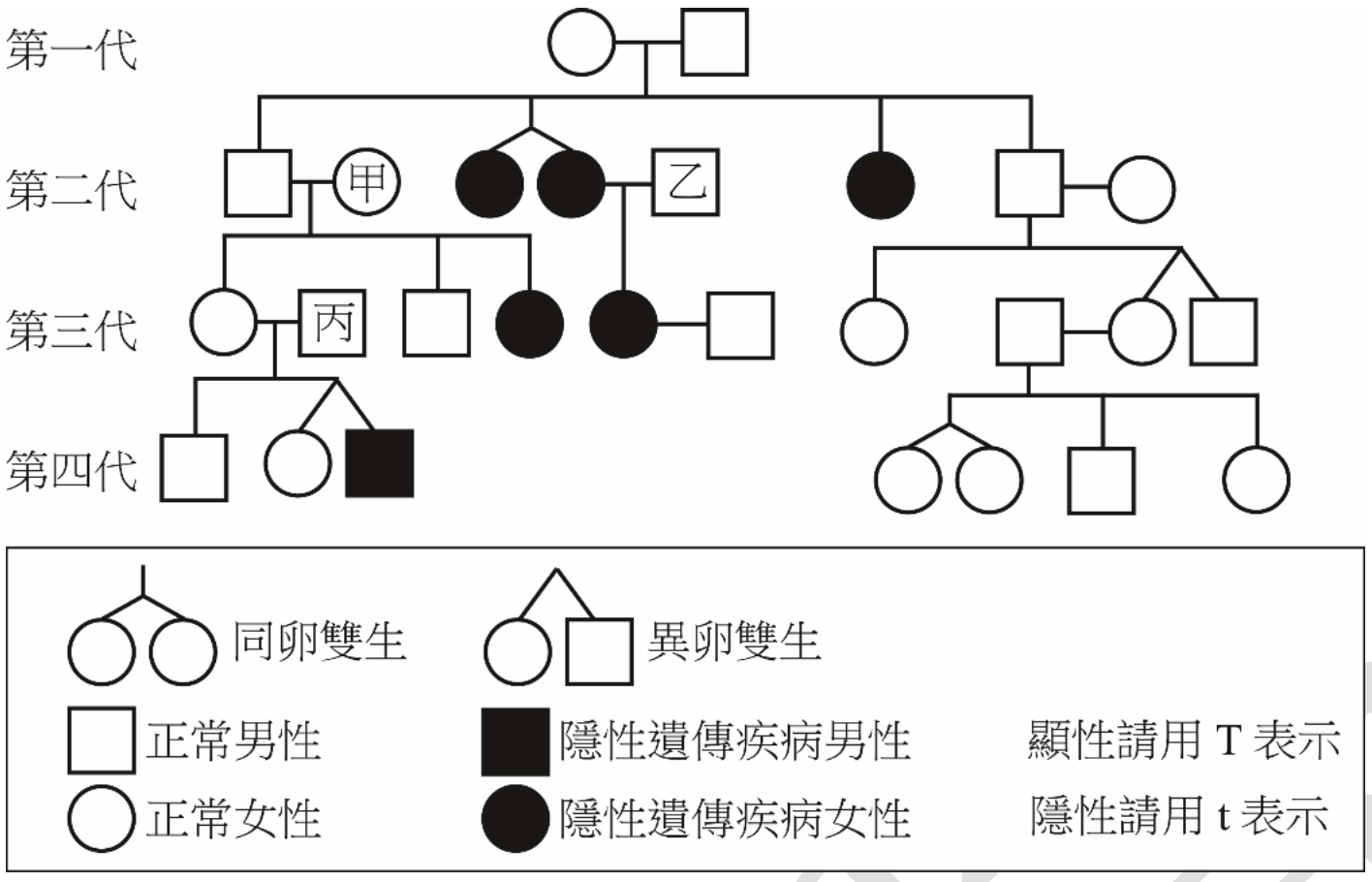 一個四代的人類遺傳譜系圖，用於分析一種隱性遺傳疾病。圖例標示：圓圈代表女性，方塊代表男性；空心圖形為正常，實心圖形為患病；同卵雙生由一個菱形分出兩個圓圈表示。顯性正常基因用T表示，隱性致病基因用t表示。
第一代：一位正常女性與一位正常男性婚配。
第二代：他們生下四位子女，從左至右分別是：一位患病男性（標示為甲）、一位正常女性、一位正常男性、一位正常女性。
第三代：甲與一位正常女性婚配，生下一位患病女兒（標示為丙）和一位正常兒子。第二代的第三位兒子與一位正常女性婚配，生下一位正常女兒和一位正常兒子。
第四代：丙與一位正常男性（標示為乙）婚配，生下一對同卵雙胞胎女兒，兩人皆為正常。