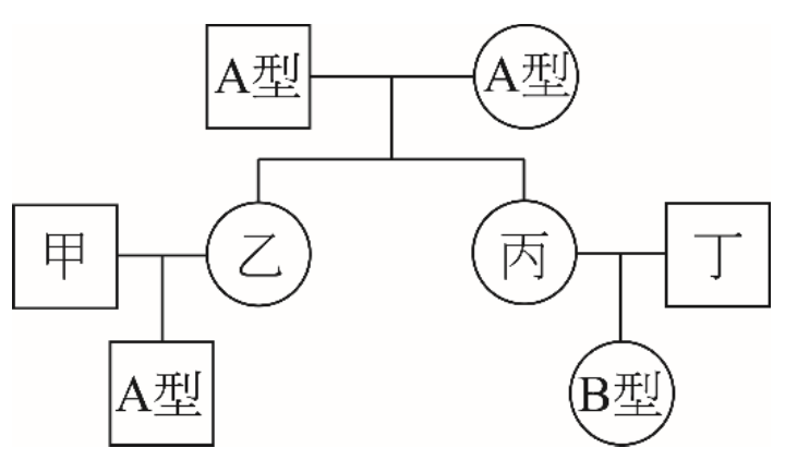 此圖為一血型譜系圖。第一代為一位A型男性與一位A型女性，他們生下第二代的兒子甲與女兒乙。兒子甲與一位A型女性結婚，生下第三代的兒子丙。女兒乙與一位B型男性結婚，生下第三代的女兒丁。甲、乙、丙、丁的血型皆為未知。