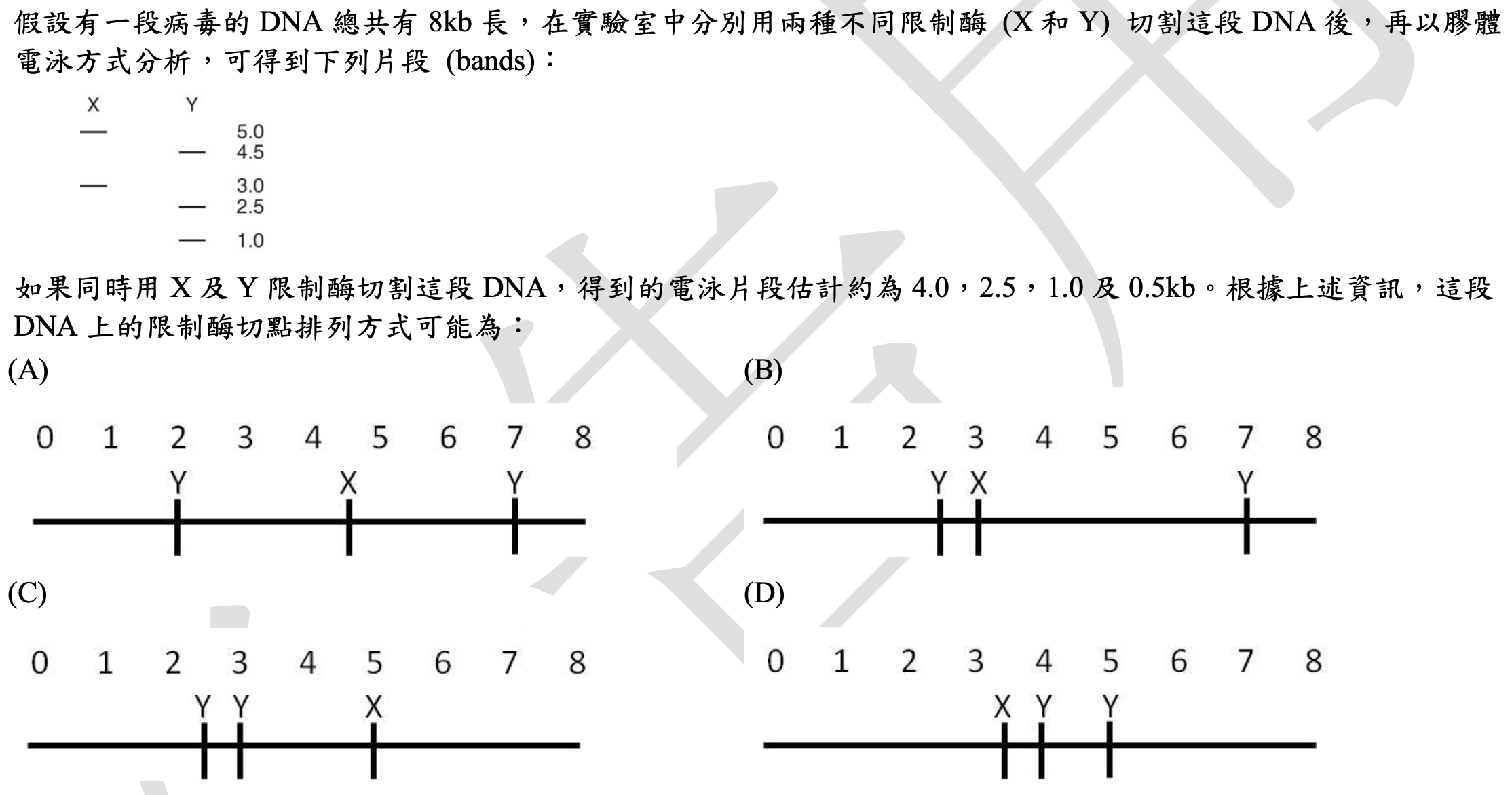 此題的四個選項(A)到(D)皆為圖示。每個圖示都以一條從0到8的水平線段代表8kb的DNA。線段上方或下方以垂直線標示了限制酶X和Y的切點位置。