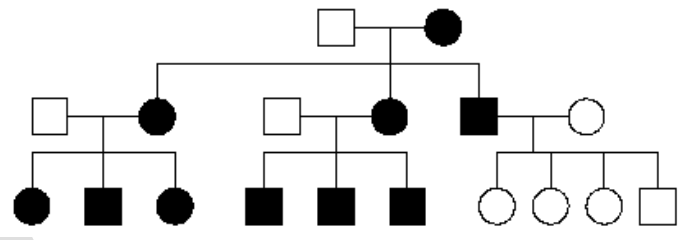 一個人類遺傳譜系圖,共三代。第一代是一對夫妻,男性正常(方框未塗黑),女性患病(圓形塗黑)。他們有四個子女構成第二代,從左到右分別是:患病男性、正常女性、患病男性、正常男性。第二代中的第一個患病男性與一位正常女性結婚,生下兩個子女構成第三代:一個正常男性和一個正常女性。第二代中的正常女性與一位正常男性結婚,生下兩個子女構成第三代:一個正常男性和一個正常女性。