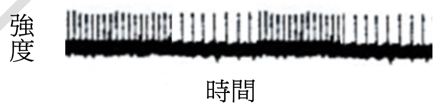 一張顯示動作電位活性的圖表。X軸為「時間」，Y軸為「強度」。圖中顯示一系列的垂直尖峰訊號。訊號模式為交替出現：先是一段時間內出現密集且強度較高的尖峰訊號，接著是一段時間內出現稀疏且強度較低的尖峰訊號。這個高強度/低強度的模式重複出現。