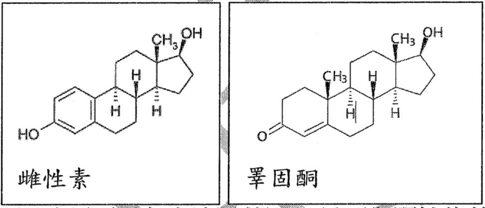 圖中顯示兩種性荷爾蒙的化學結構式。左邊是雌性素(Estradiol)，其結構包含一個酚環(A環)和三個其他脂環，A環上接有一個羥基(-OH)，另一個環上接有一個甲基(-CH3)和一個羥基(-OH)。右邊是睪固酮(Testosterone)，其結構包含四個脂環，其中一個環上接有一個酮基(=O)，另兩個環上分別接有一個甲基(-CH3)和一個羥基(-OH)。