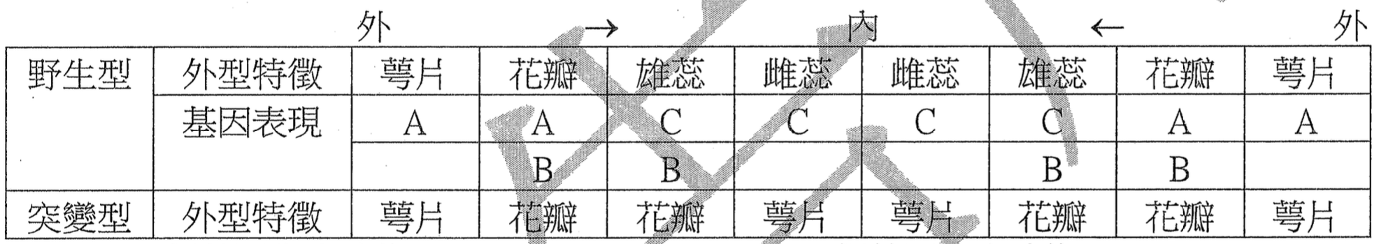 第 36 題附圖