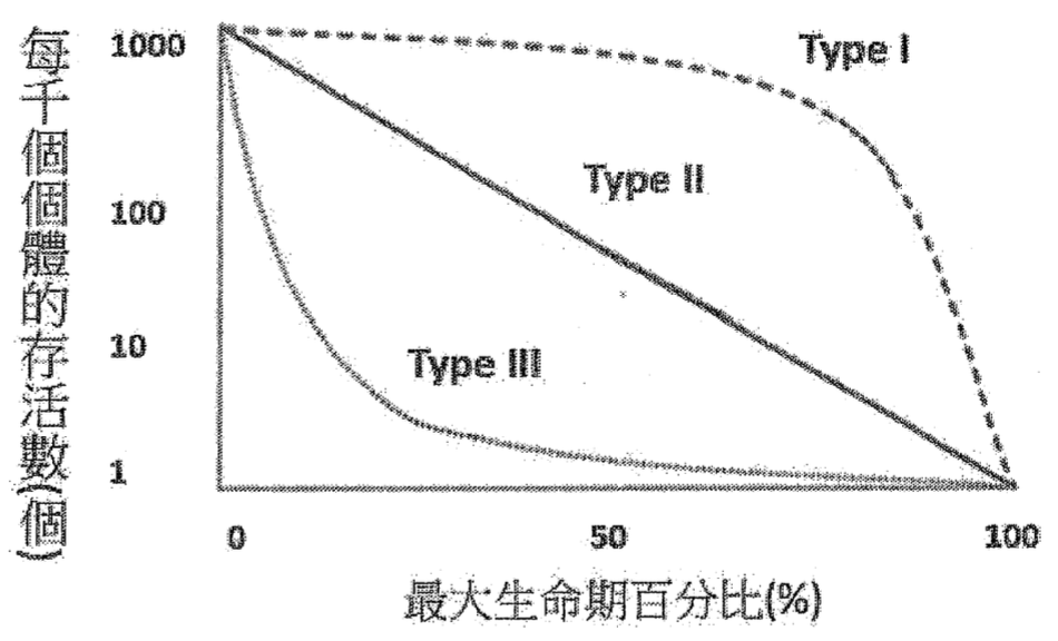 一個存活曲線圖。X軸為最大生命期百分比(%)，從0到100。Y軸為每千個個體的存活數(個)，採對數尺度，從1到1000。圖中有三條曲線。Type I 曲線呈凸形，表示在生命早期死亡率低，晚期死亡率高。Type II 曲線為一條直線，表示在整個生命週期中死亡率恆定。Type III 曲線呈凹形，表示在生命早期死亡率高，後期死亡率低。